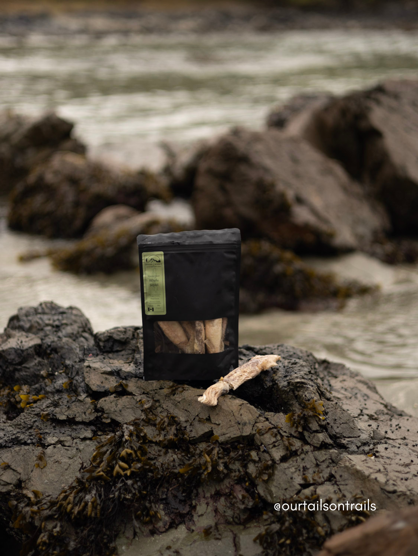 Freeze Dried Whole Squid