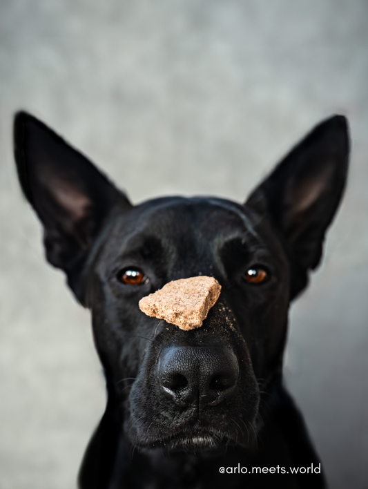 Freeze Dried Elk Bone Broth