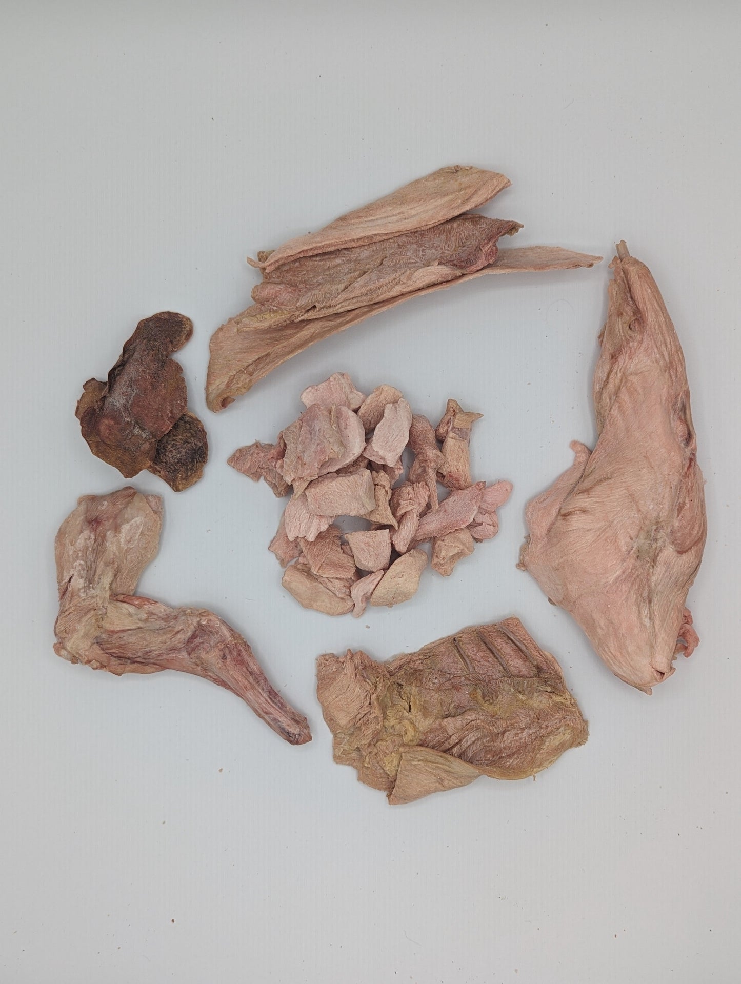 Freeze Dried Half a Rabbit (with skull)