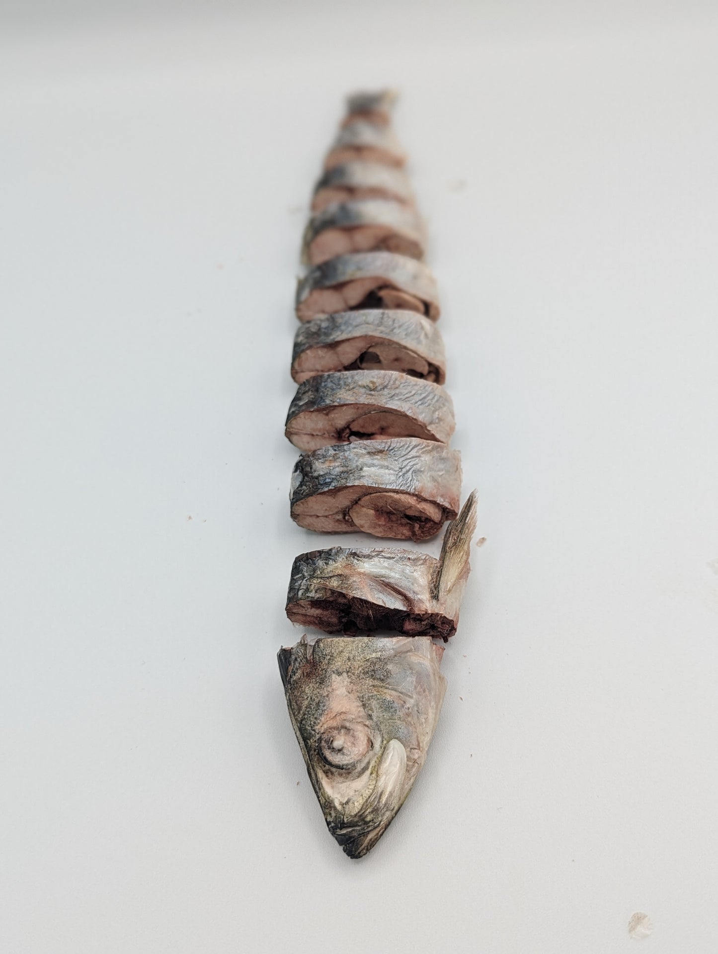 Hareng lyophilisé