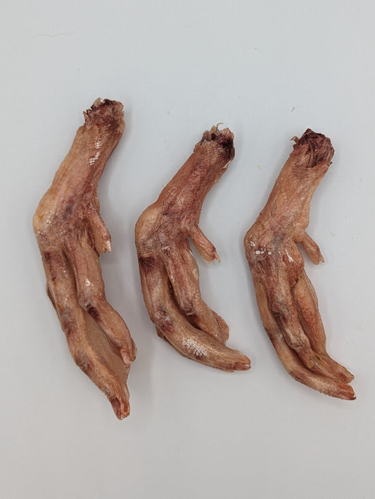 Pieds de canard lyophilisés