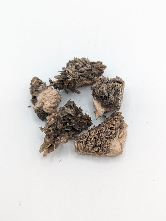 Freeze Dried Green Bison Tripe
