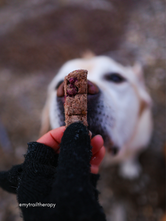 Boulettes de bison lyophilisées