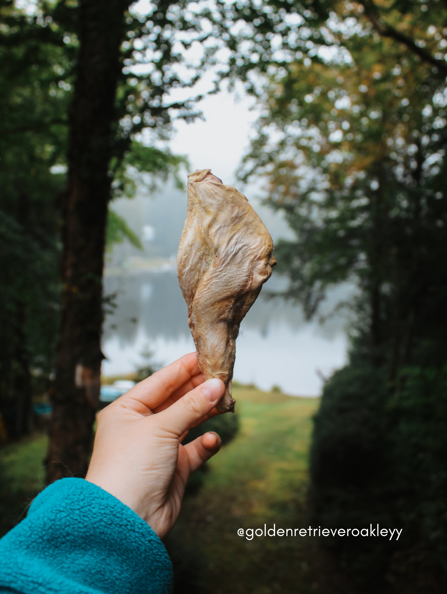 Freeze Dried Half a Rabbit