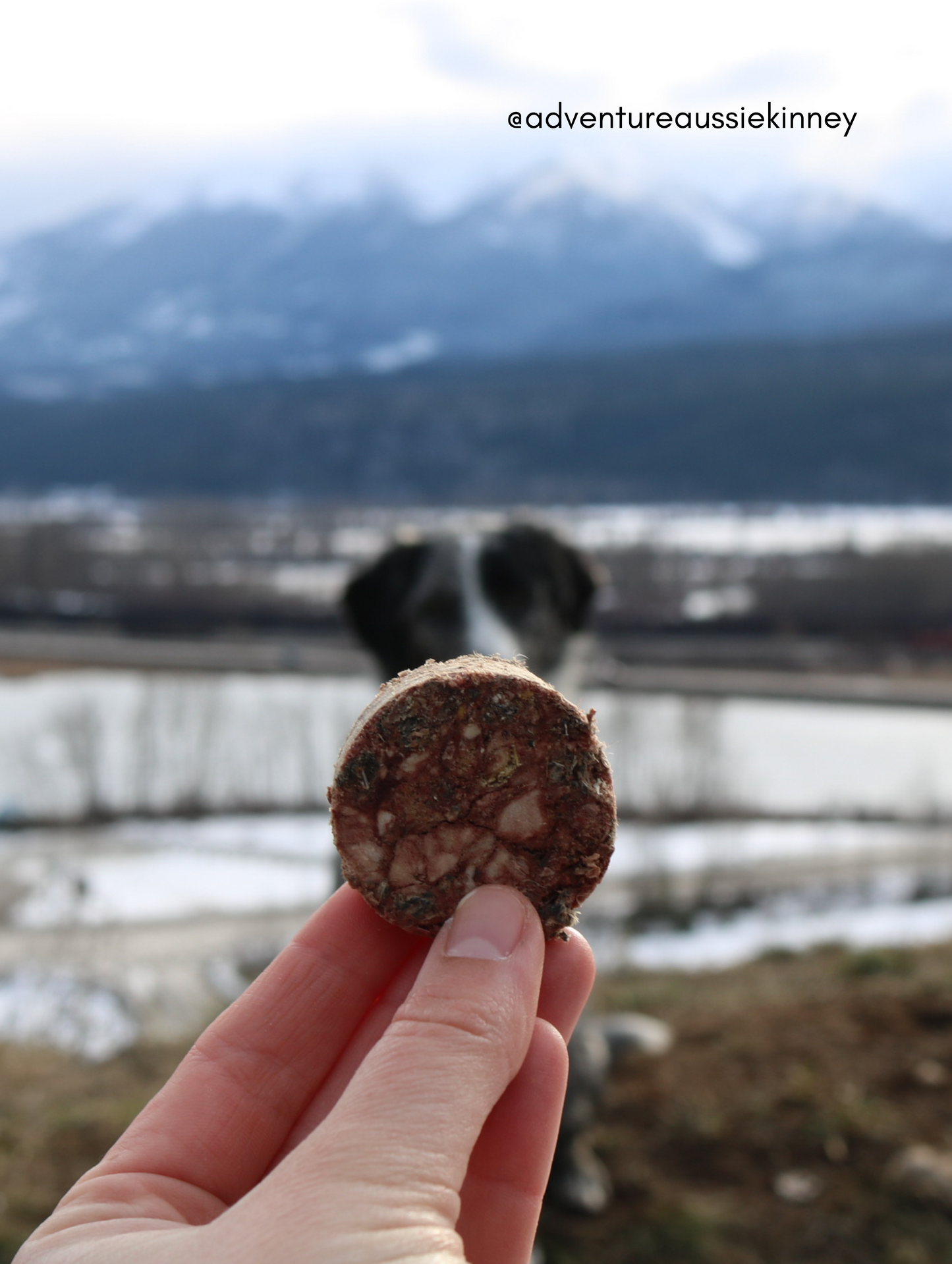 Freeze Dried Quail Medallions