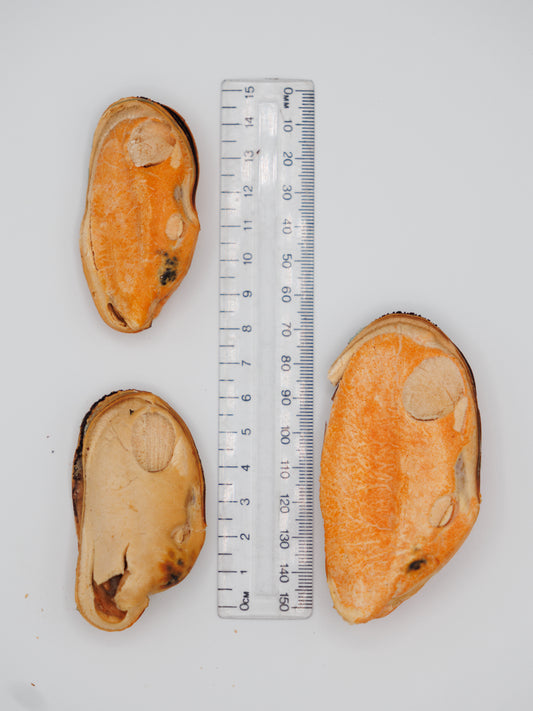 Freeze Dried Green Lipped Mussels
