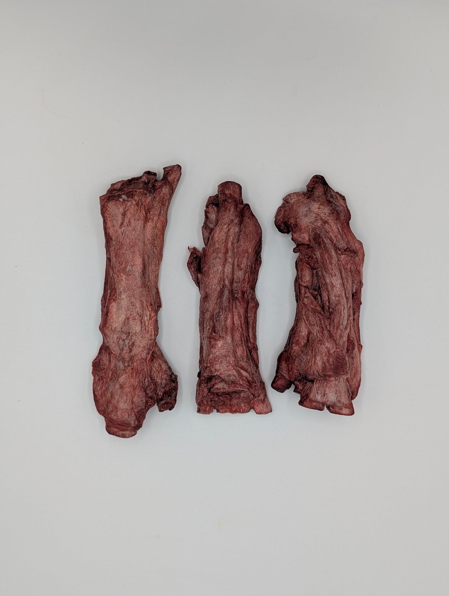Freeze Dried Bison Tendons