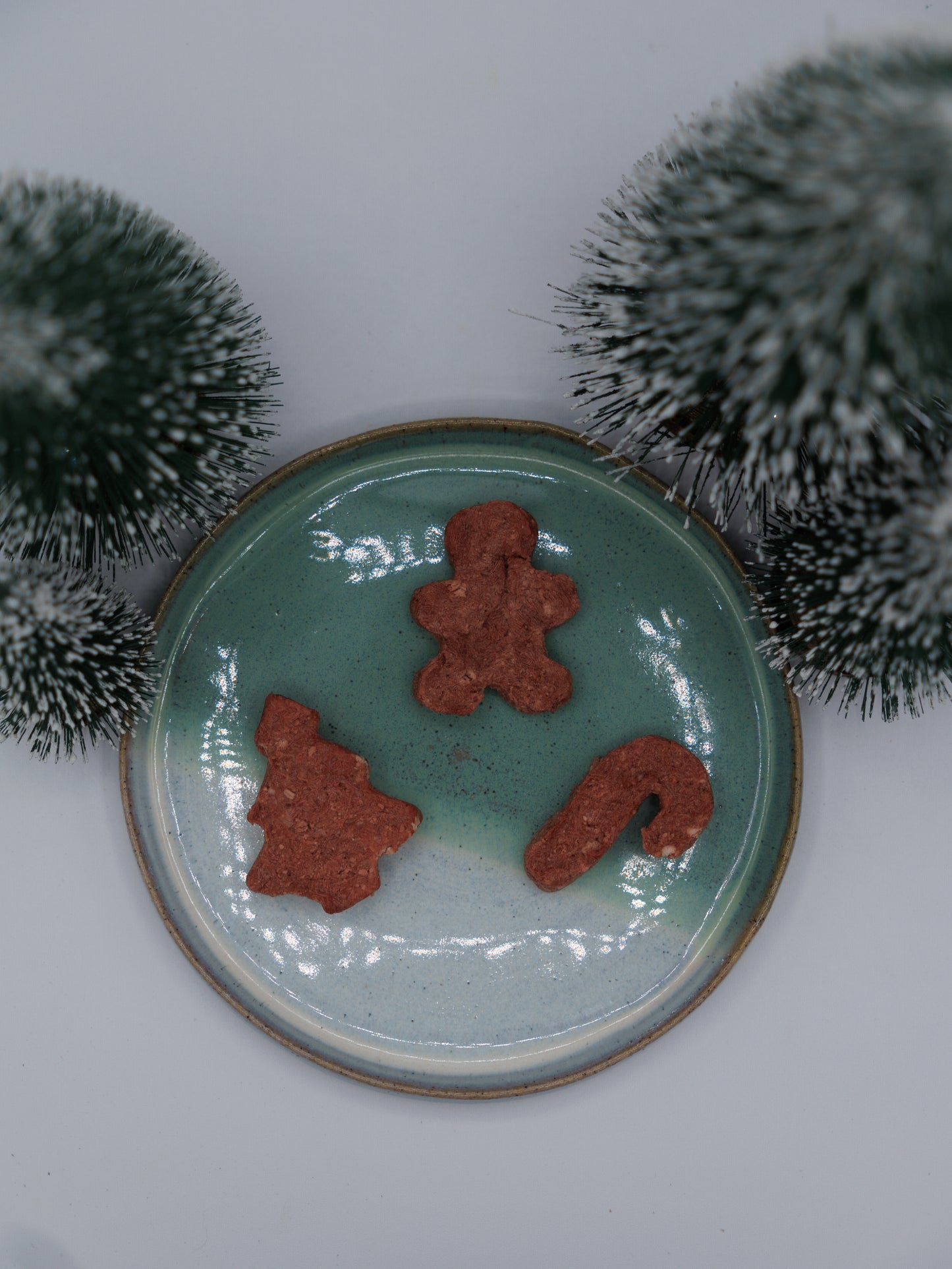 Biscuits au fromage aux baies d'élan lyophilisés