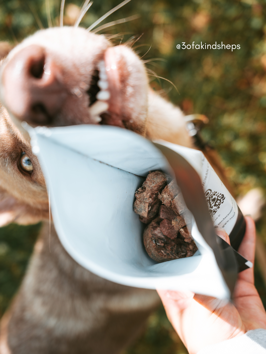 Freeze Dried Camp Mix