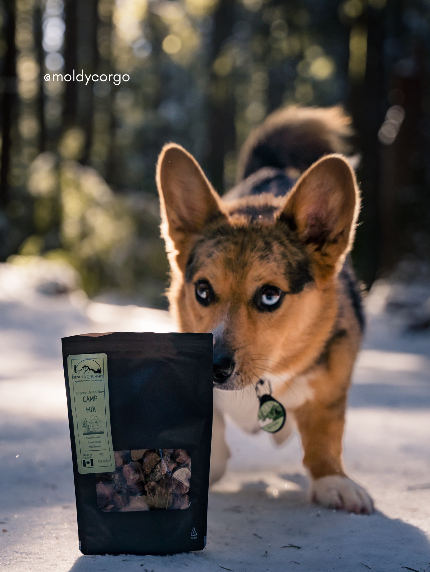 Freeze Dried Camp Mix