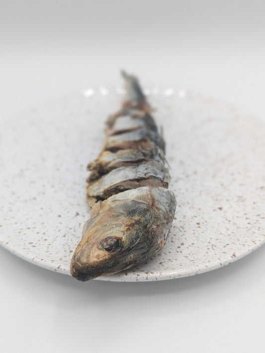 Freeze Dried Sardines