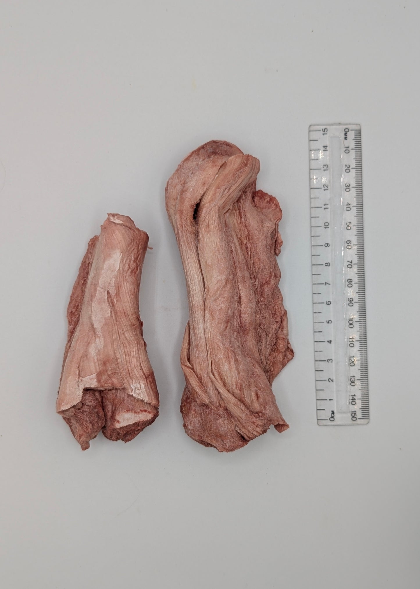 Freeze Dried Bison Tendons (Bare)