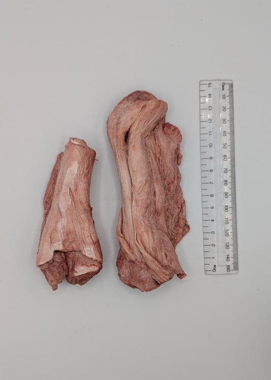 Freeze Dried Bison Tendons (Bare)