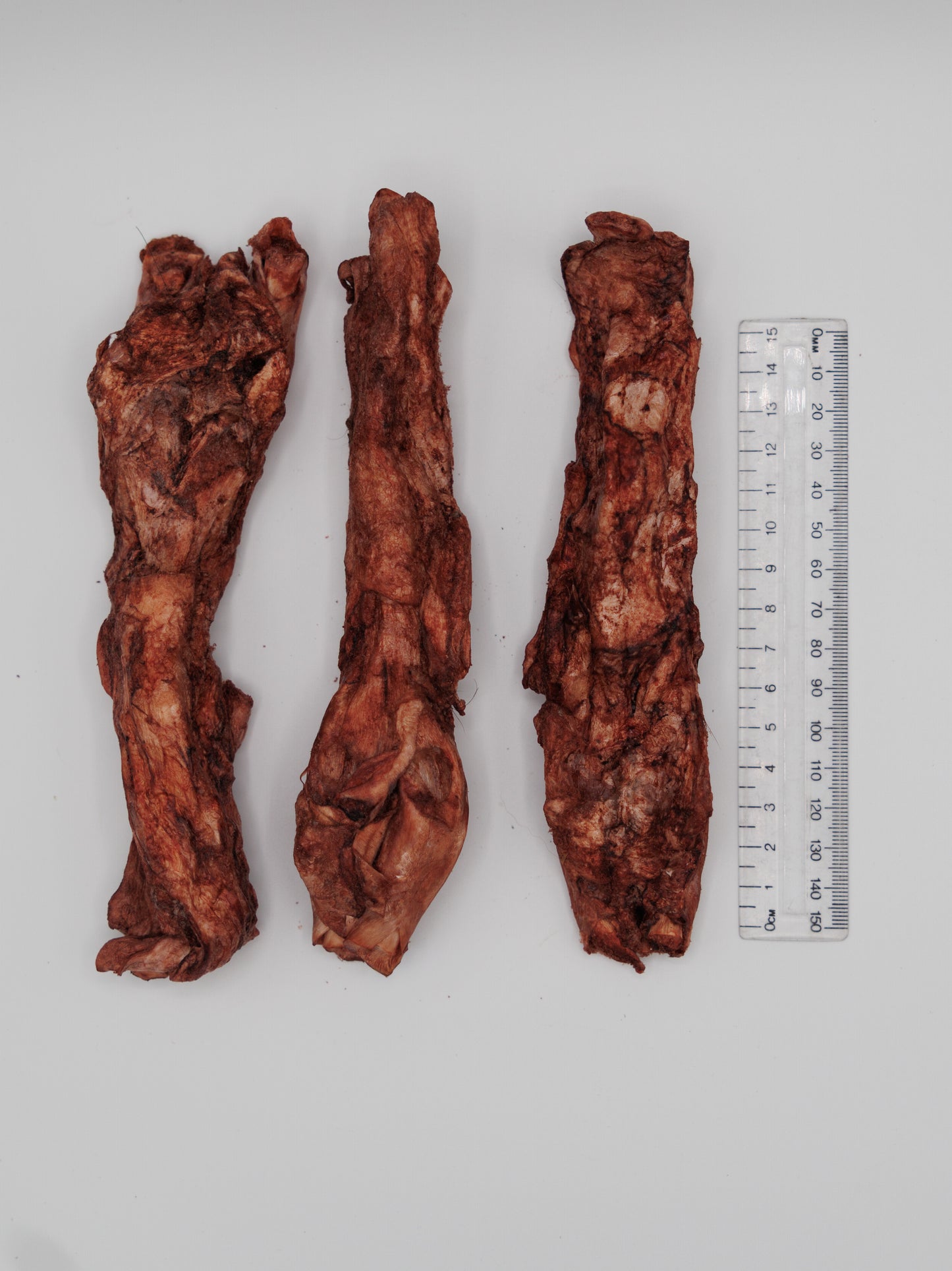 Freeze Dried Bison Tendons