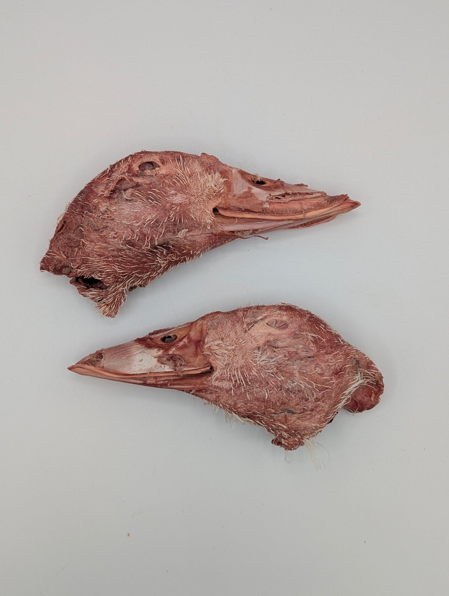 Freeze Dried Duck Heads