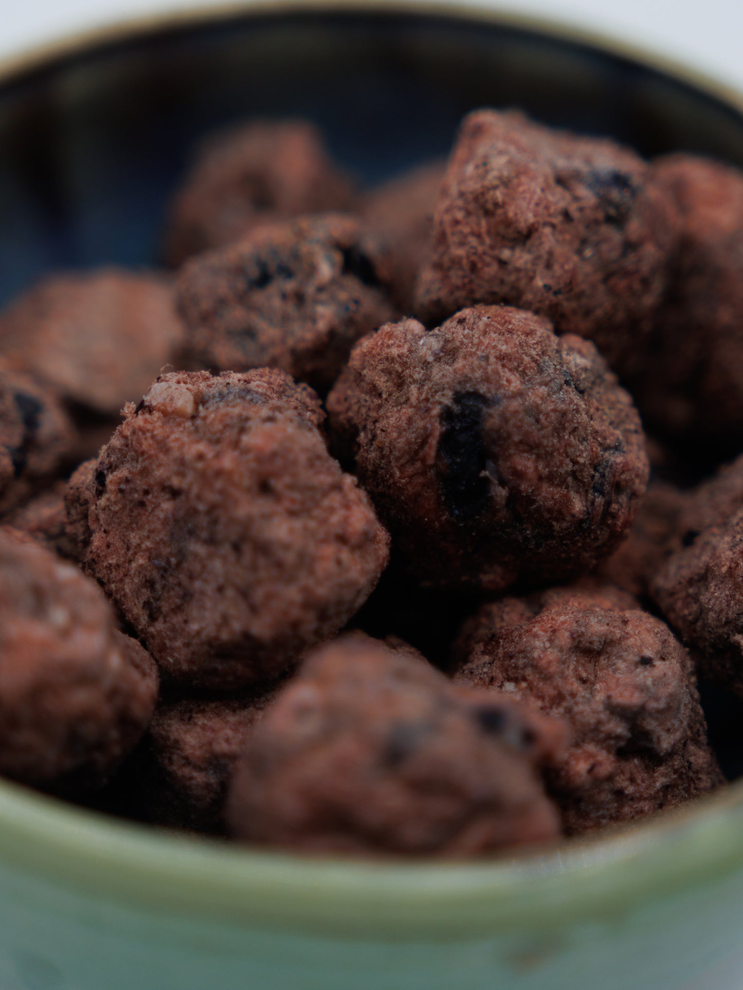 Freeze Dried Bison Berry Balls