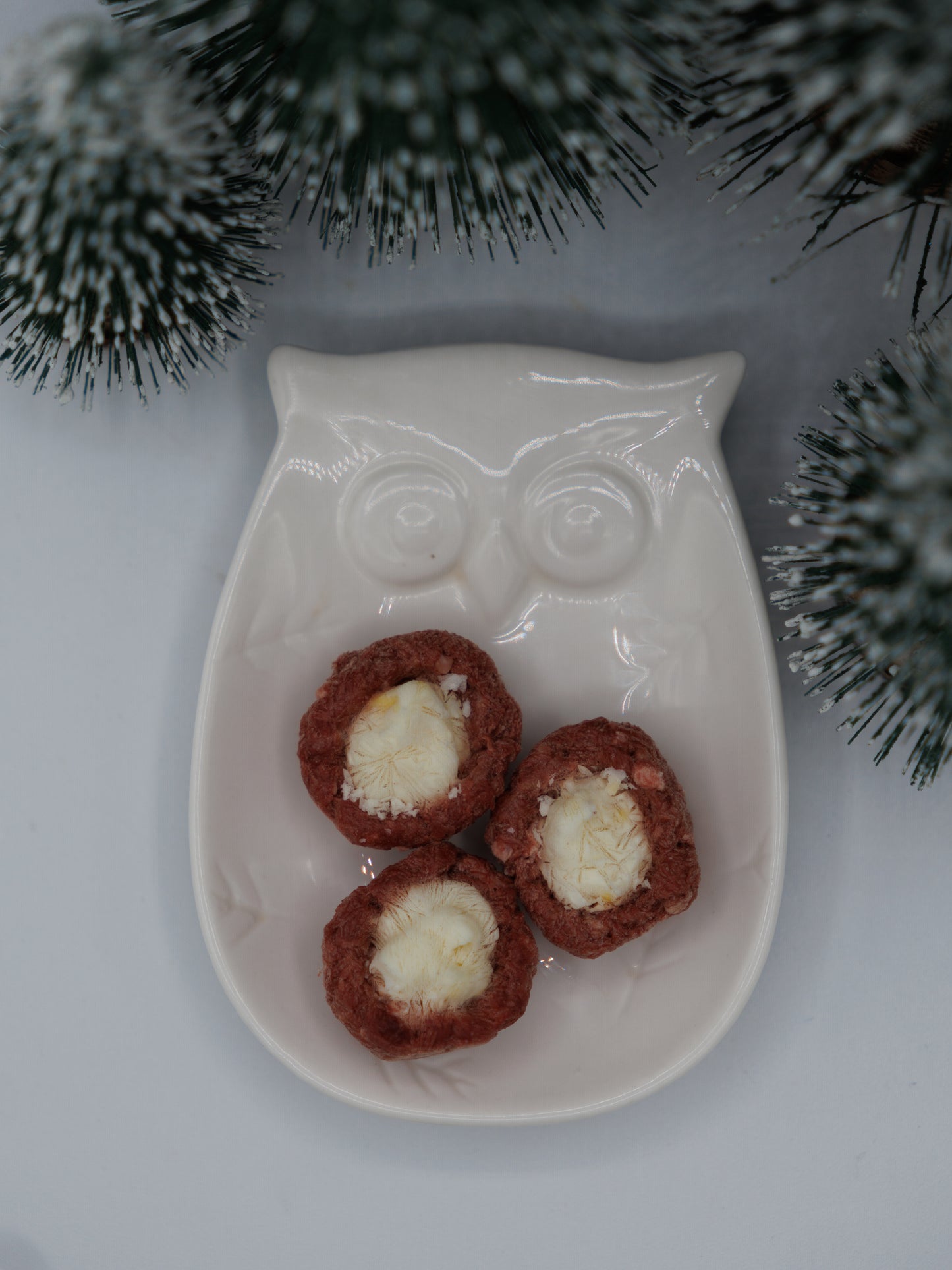 Freeze Dried Eggnog Pupcups