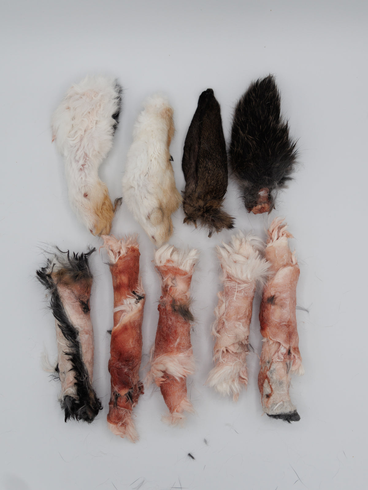 Freeze Dried Rabbit Snack Pack
