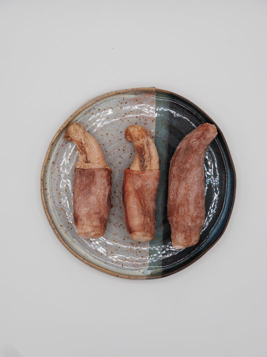 Freeze Dried Bison Pizzle Tips