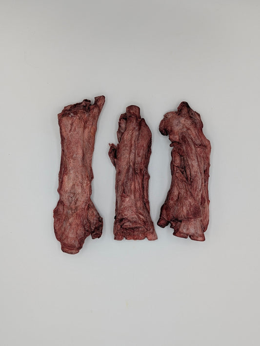 Freeze Dried Bison Tendons