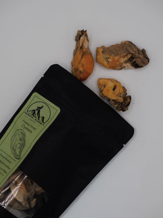 Freeze Dried Oysters