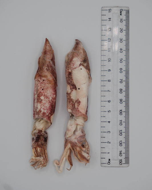 Freeze Dried Whole Squid