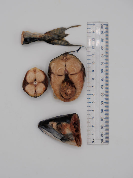 Freeze Dried Mackerel