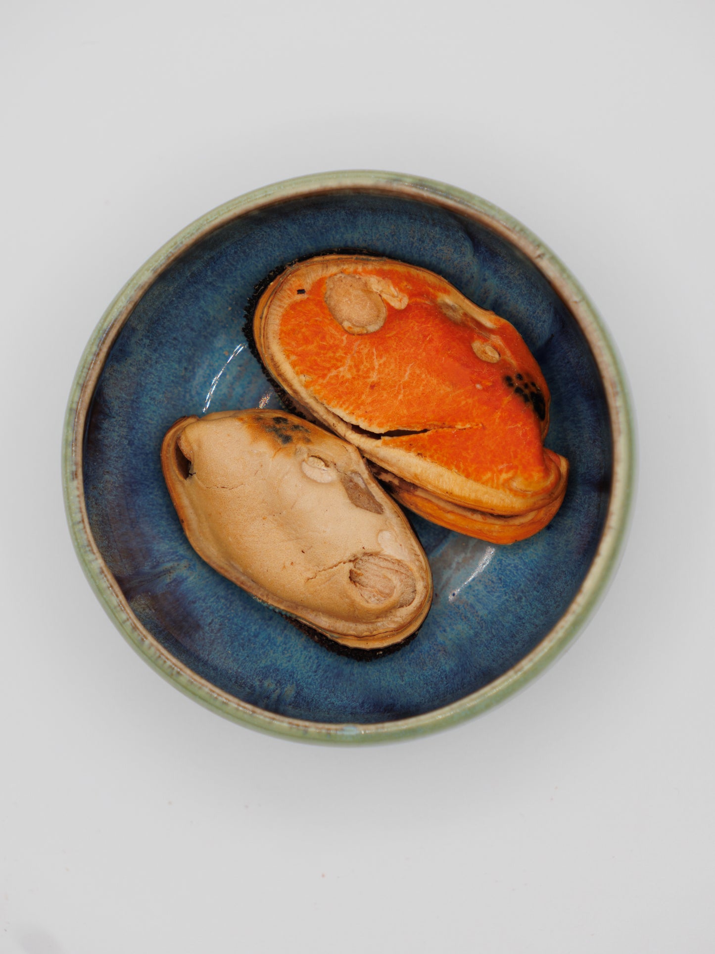 Freeze Dried Green Lipped Mussels