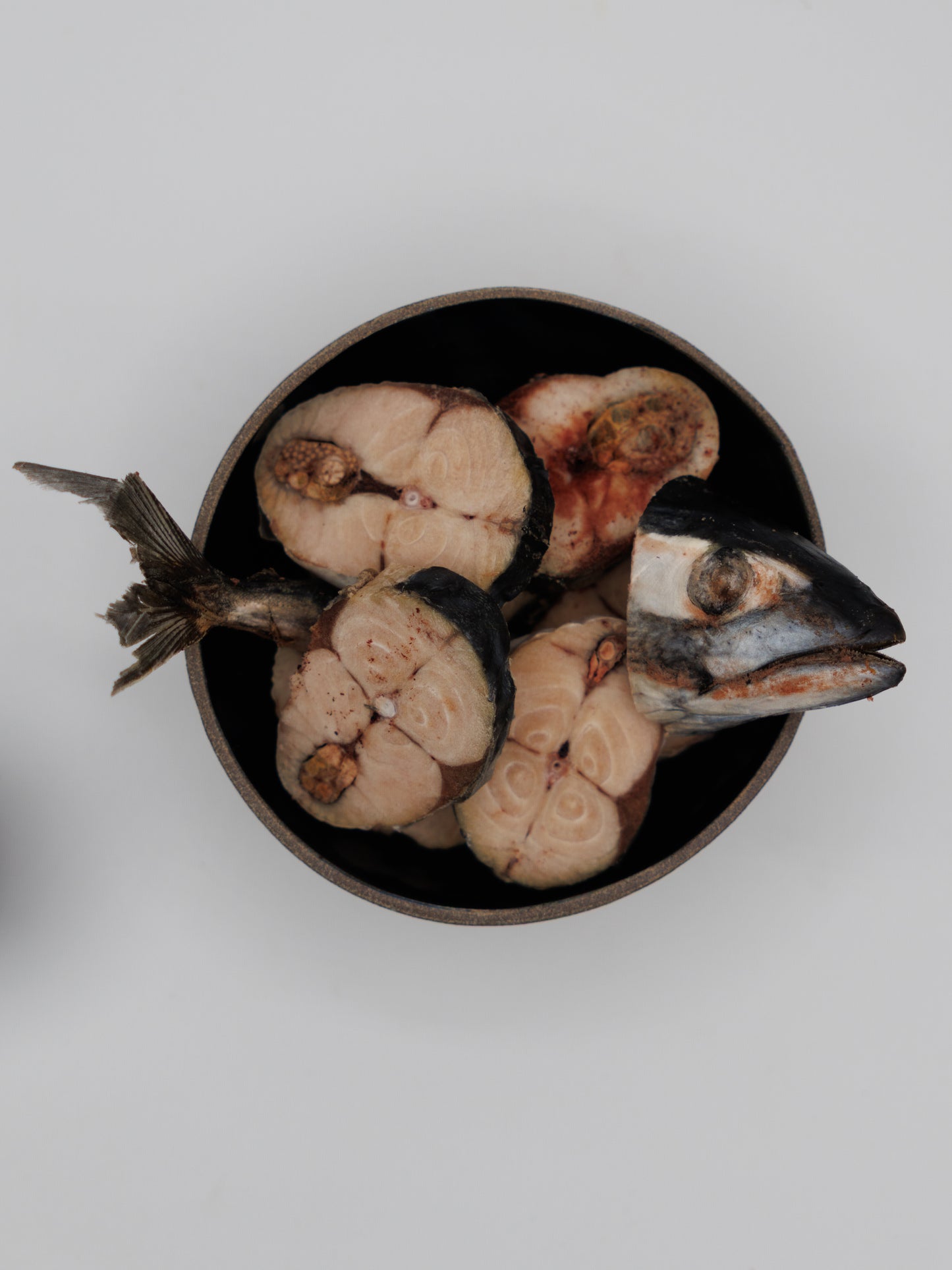 Freeze Dried Mackerel